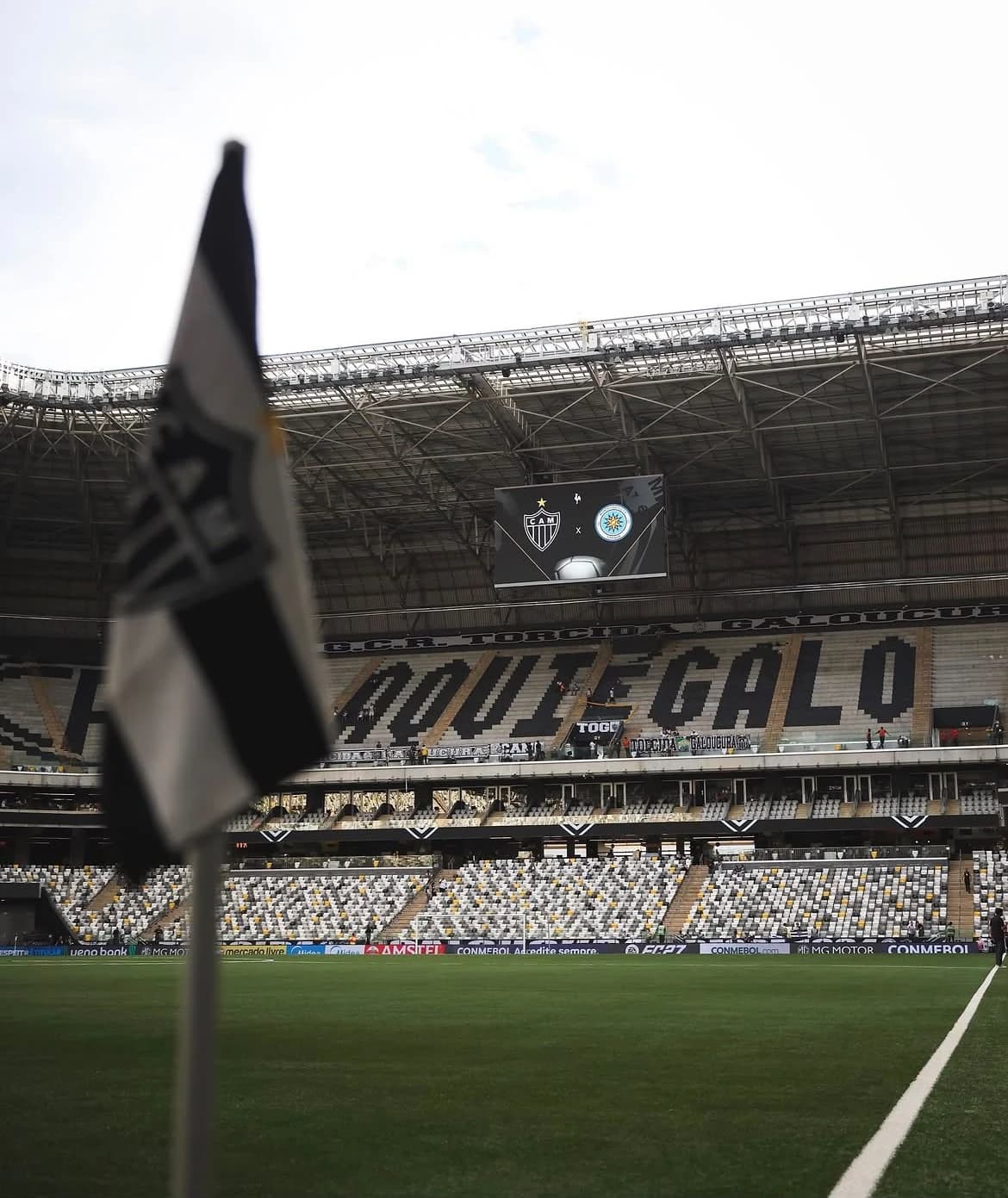 GALO Y TORQUE, POR UN LUGAR EN LA FINAL